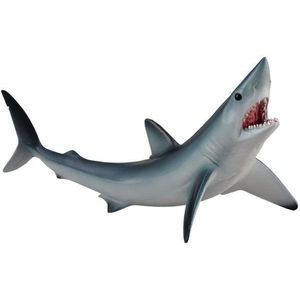 Shortfin Mako Shark