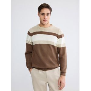 LC Waikiki Crew Neck Striped Men's Knitwear Sweater