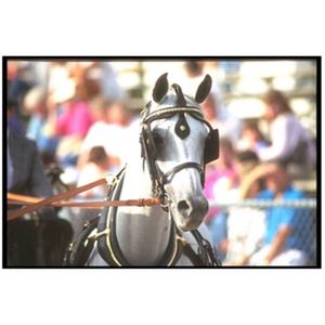 تابلوه منظر خيل 23 سم × 18 سم