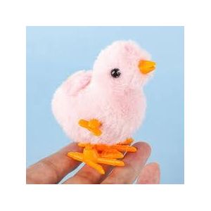 Wind-up Baby Chick – Soft, Fluffy Toy for Kids