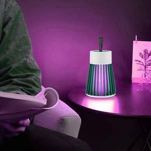 Electric lamp for killing mosquitoes and insects