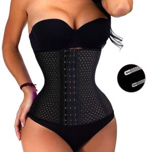 Vorcy Waist Trainer Belt Back Brace Cincher Trimmer Sports Slimming Body  Shaper Band Corset Waist Trainer for Fitness Workout price in Egypt,  Egypt