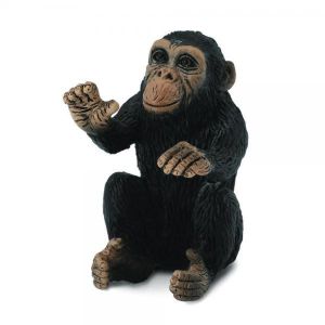 Chimpanzee Cub - Hugging