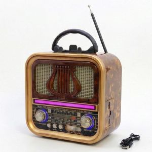 Golon  Stylish Wooden Radio, 3 Bands (AM-FM-SW), Supports Bluetooth, USB, and TF Card, with DC Charging Input and Rechargeable Battery - RX-740D (GOLD)