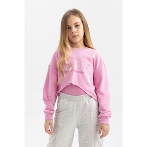 Defacto 2 piece Crop Crew Neck Sweatshirt - Pink