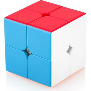 Maomaoyu Speed Magic Cube Stickerless 2x2  Smooth Magic Cube 3D Brain Teasers Stocking Filler Toy