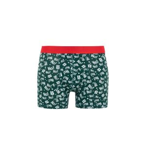 Defacto Man Regular Fit Knitted Boxer - D.Green