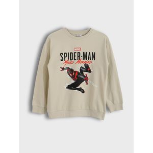 LC Waikiki Crew Neck Spider-Man Printed Long Sleeve Boy's Sweatshirt