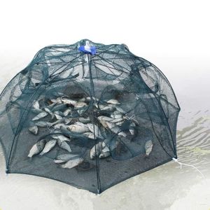 Buy Fishing Nets at Best Price online