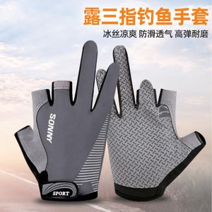 No Cut Gloves Available @ Best Price Online