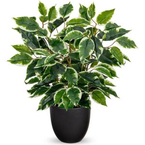 نباتات اصطناعية تشبه نباتات الفيكس الحقيقية، بطول 40 سم، في أصيص، نبات أخضر، نبات زينة داخلي، مناسب لعتبة النافذة، غرفة المعيشة، الحمام، الطاولة، لون أخضر فاتح