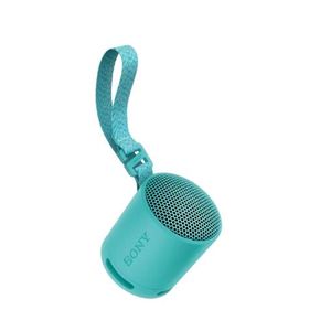 Sony SRS-XB100 Wireless Bluetooth Portable Lightweight Super