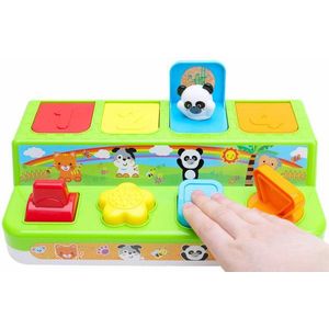 Pop Up Animals