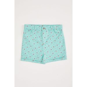 Defacto Casual Woven Bottom Short - Mint Melange