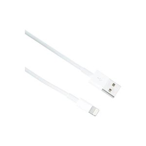 Apple Lightning To Usb Cable 2M White