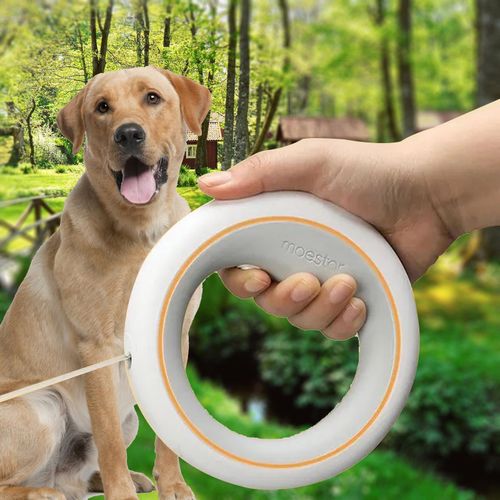 Retractable chain dog leash top