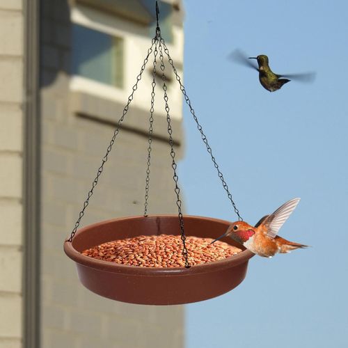 Generic Hanging Bird Bath Water Feeder Bird Waterer With Metal