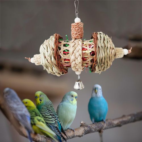 Best discount parrot toys