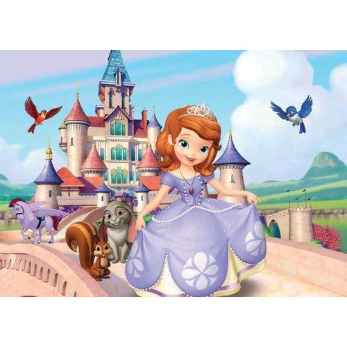 Generic Sofia Puzzle 100 Piece