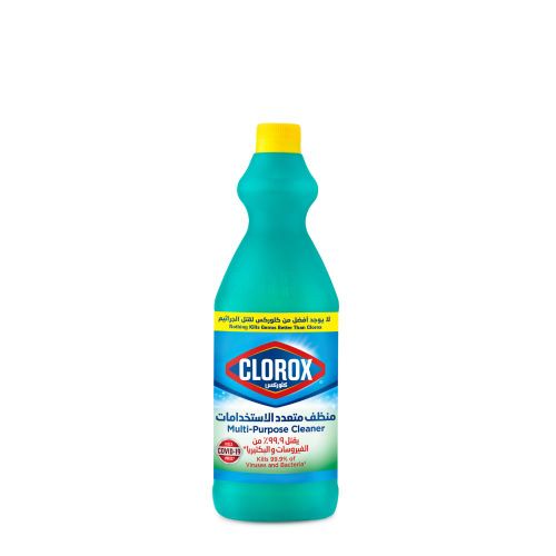 اشتري Clorox Clorox Multipurpose Cleaner 1L في مصر