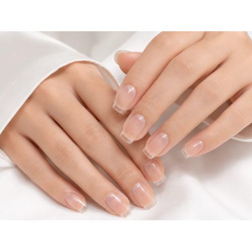 Generic اظافر صناعيه 240 قطعه شفاف  عصري - image 2