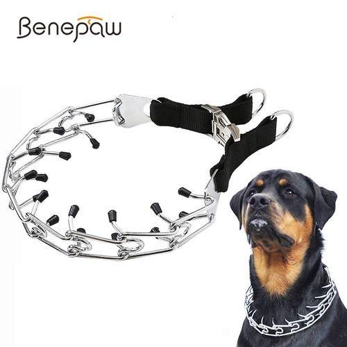 Best dog training collar for large dogs top