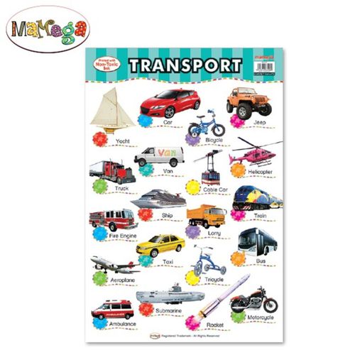 product_image_name-Mamega-بوستر تعليمى انجليزى مقاس 49.5*74سم 350جم Transport-2