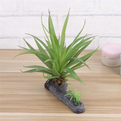 Generic 1 Pc Simulated Water Plants For Pet Reptile Turtle Fish Tank  Succulents Home Ornament Reptile Terrarium Decoration (Green) @ Best Price  Online