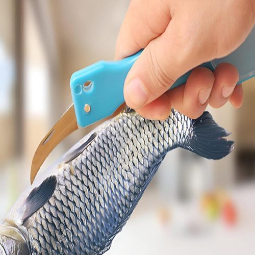 product_image_name-Generic-مزيل جلد السمك - اداة قشارة سمك متينة مع منظف فرشاة ستيل لتنظيف دقيق وفعال، خيارات متعددة الالوان (قطعتان)-4