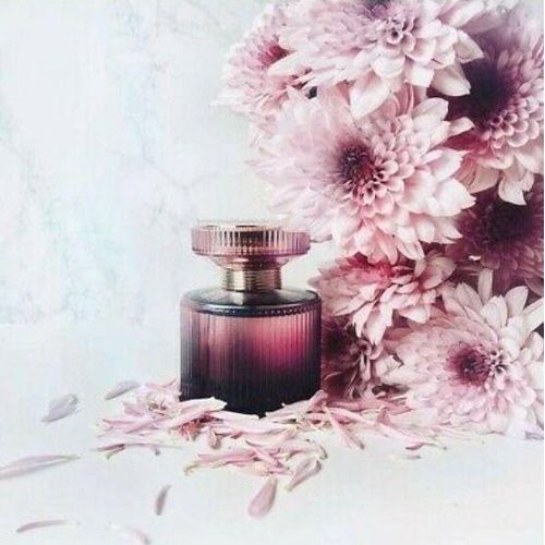 Amber  ELIXIR Mystery Eau de Parfum - image 4