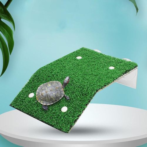 Generic Turtle Tank Accessories Decoration Reptile Simulated