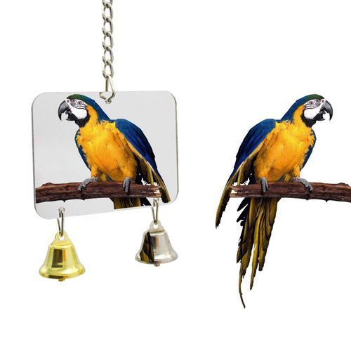 Generic Parrot Paw Grinding Cage Swing Mirror Toys Best Price