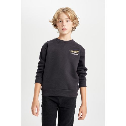 product_image_name-Defacto-Boy Crew Neck Regular Fit Sweat Shirt - D.Anthra-1