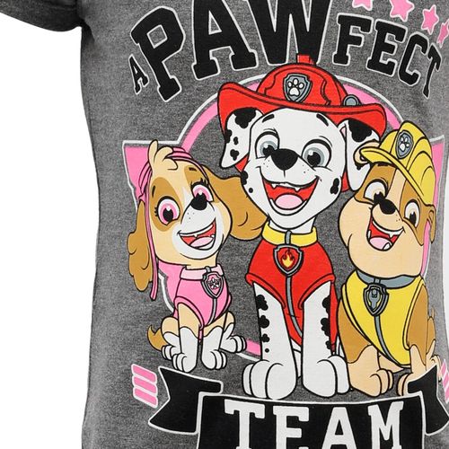 Buy Ted Marchel Girls Printed "A Paw Fect Team" T-shirt - Heather Dark Grey in Egypt