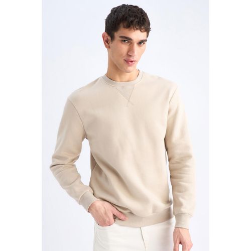 Defacto Regular Fit Crew Neck Thick Basic Solid Sweatshirt