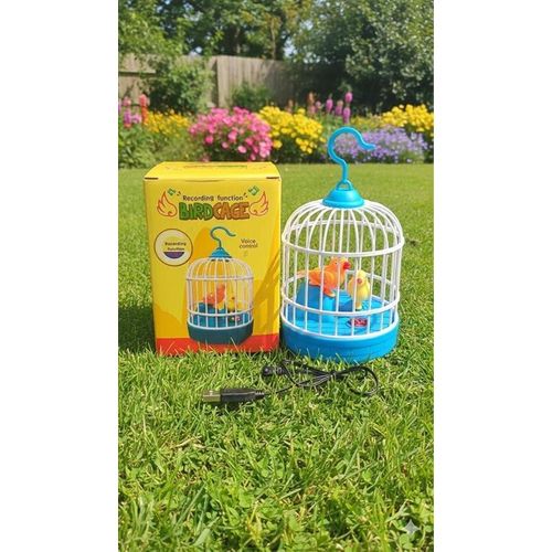 product_image_name-Generic-Ramadan Bird Lantern with Recording Function and Speech Pronunciation, Cable Included, 20 cm-1