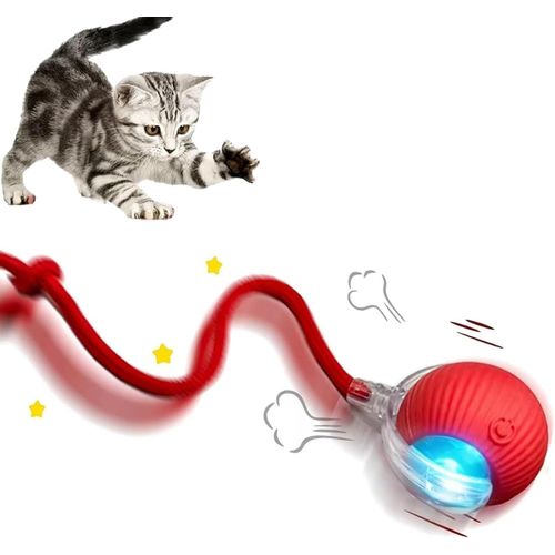 product_image_name-Generic-لعبة كرة تفاعلية للقطط والكلاب، كرات متحركة أوتوماتيكية، ألعاب تخصيب للقطط والكلاب التي تشعر بالملل في الأماكن المغلقة، ألعاب ذكية ذاتية التدحرج، قابلة لإعادة الشحن بمنفذ USB-1