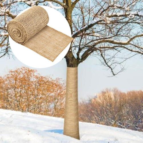 product_image_name-Generic-Baumstamm-Schutzhullen، 2 رولين، Free-Frostschutz-Bandagen fur Pflanzenpflege، bietet Isolierung und Barriere gegen Hirsche، Nagetiere und Sonnenlicht (30 سم * 3 م)-5