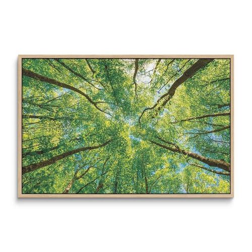 product_image_name-Home Gallery-لوحة فنية جدارية من قماش "سماء فوق غابة الزمرد" مقاس 120*80-3