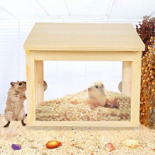 Hamster store online cheap