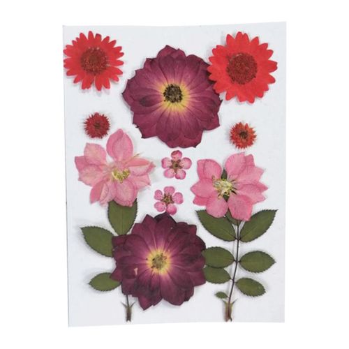 Dried Real Flowers for Crafts Pressed Red Crystal Chrysanthemum