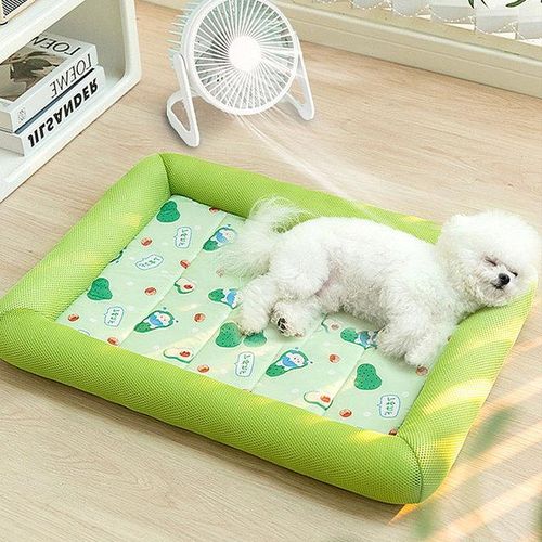 Summer dog bed clearance