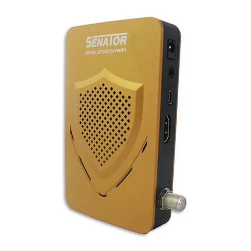 Buy Senator 999 Gold With Built-in WIFI And Bluetooth Remote Control in Egypt