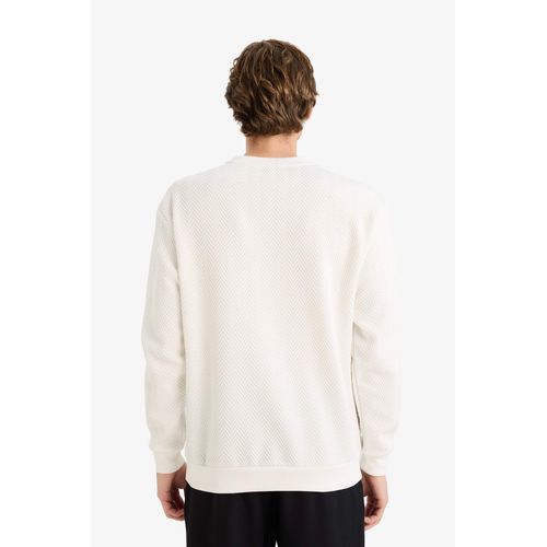 product_image_name-Defacto-سويت شيرت قصة عادية برقبة مستديرة-5