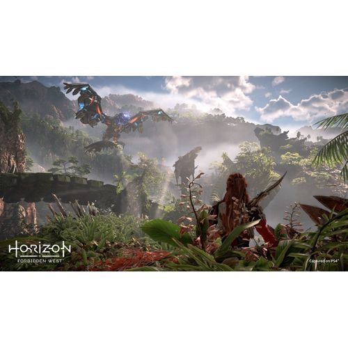 Horizon : Zero Dawn at the best price