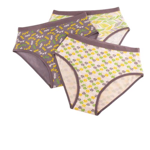 School Set Of (3) Underwear Breif Printed - For Women @ Best Price