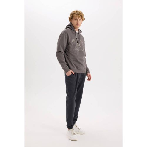 product_image_name-Defacto-Man Regular Fit Trousers - Anthra-4