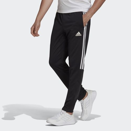 Adidas Tiro 19 Pants, Men's Fashion, Activewear on Carousell