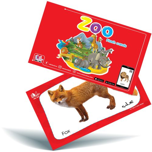 Buy edu tec Zoo Animals Flash Cards in Egypt