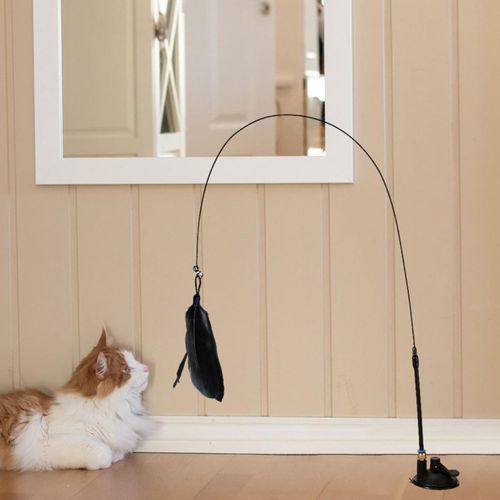 product_image_name-Generic-لعبة قطط ذاتية التشغيل، لعبة قطط، لعبة قطط، كوب شفط، لعبة قطط تفاعلية، ملاك مع ريش، لعبة قطط مع ريش طائر مع كوب شفط للعبة قطط ذاتية التشغيل-3